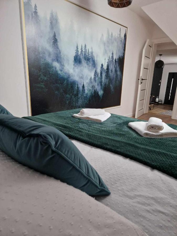 Widokowa Polana Apartman Szaflary Kültér fotó